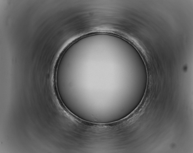 X0000100751331200806190814