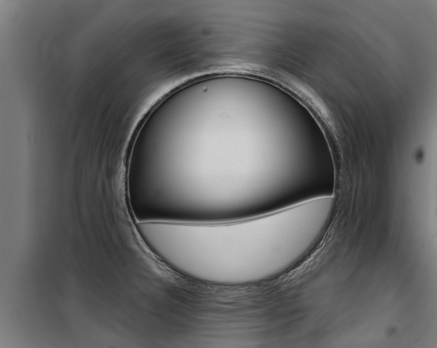X0000100751332200806190814