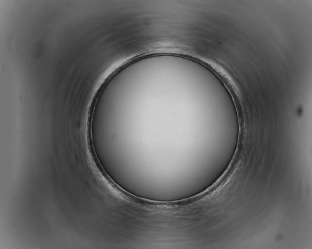 X0000100751333200806190814