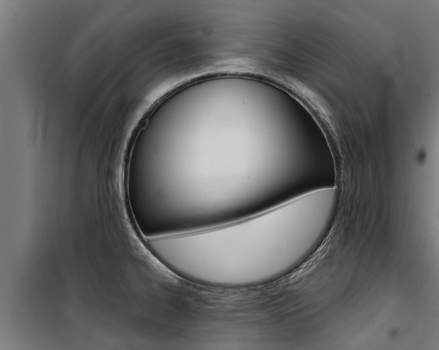 X0000100751334200806190814