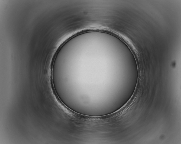 X0000100751335200806190814