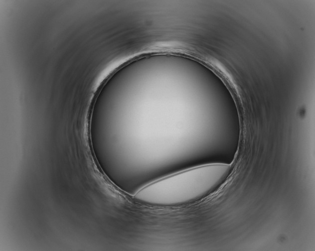 X0000100751336200806190814