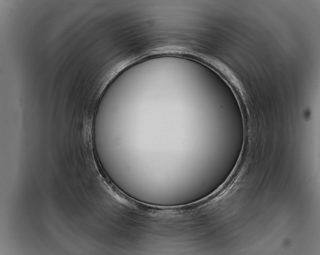 X0000100751337200806190814