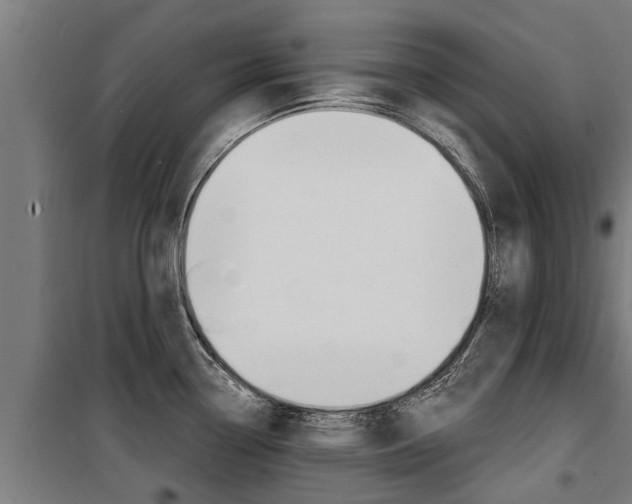 X0000100751338200806190814