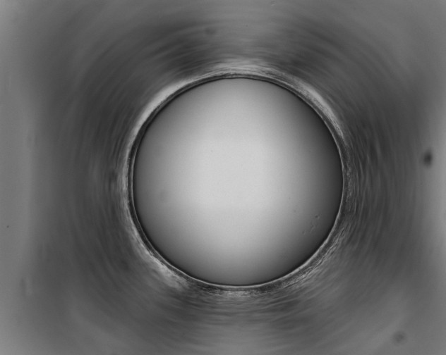 X0000100751339200806190814