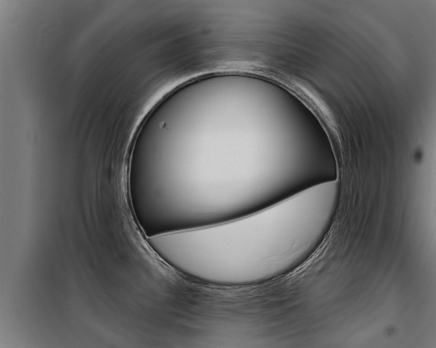 X0000100751340200806190814