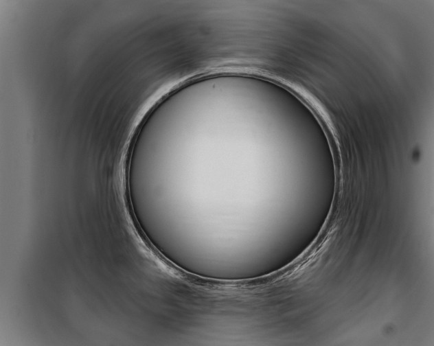 X0000100751341200806190814