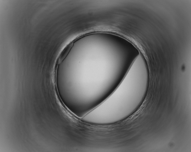 X0000100751342200806190814