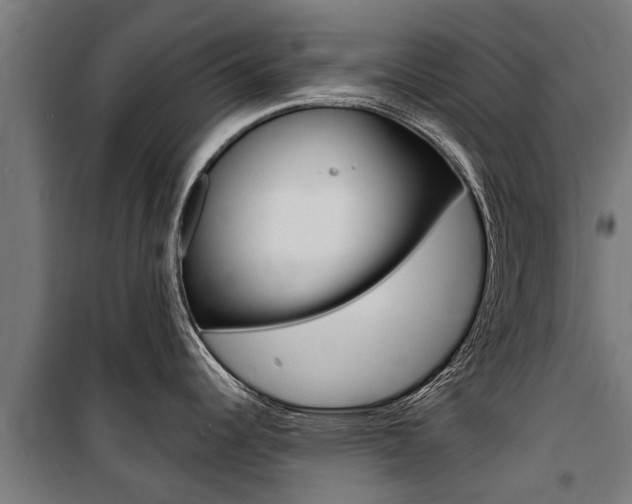 X0000100751344200806190814