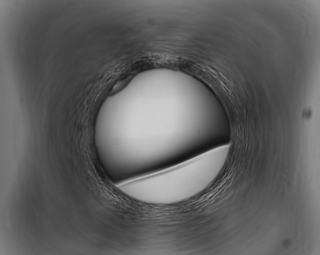 X0000100751345200806190813