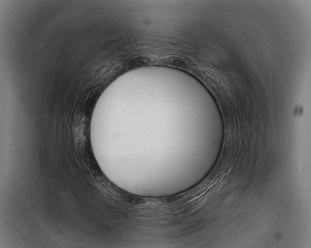 X0000100751346200806190813