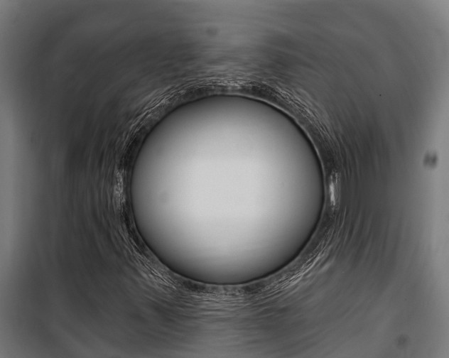 X0000100751347200806190813