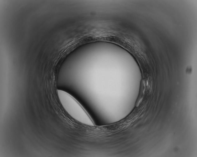 X0000100751348200806190813