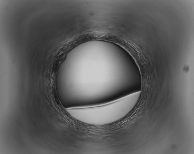 X0000100751349200806190813
