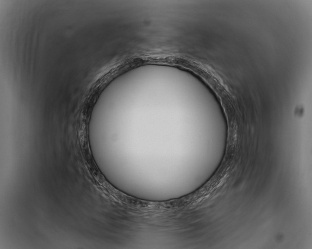 X0000100751350200806190813
