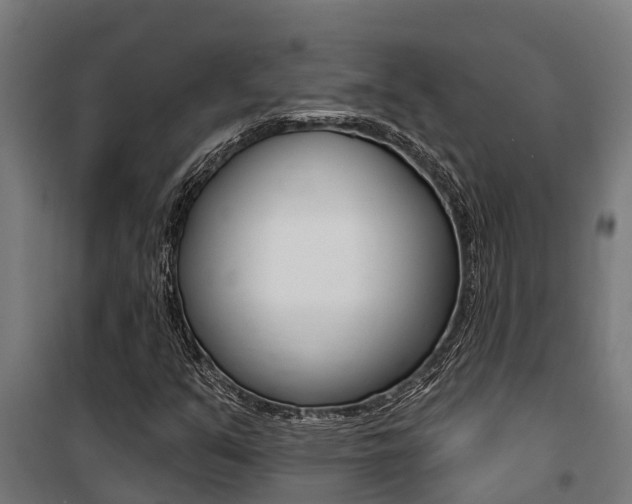 X0000100751351200806190813