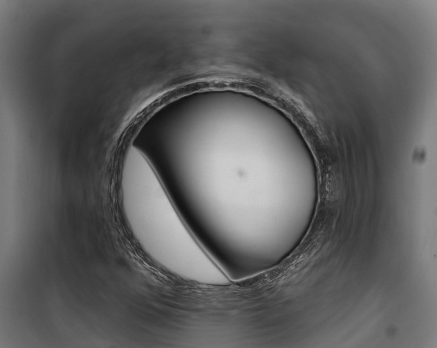 X0000100751352200806190813