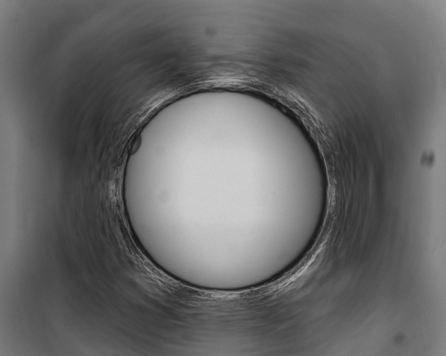 X0000100751353200806190813