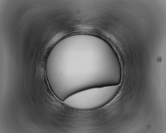 X0000100751354200806190813