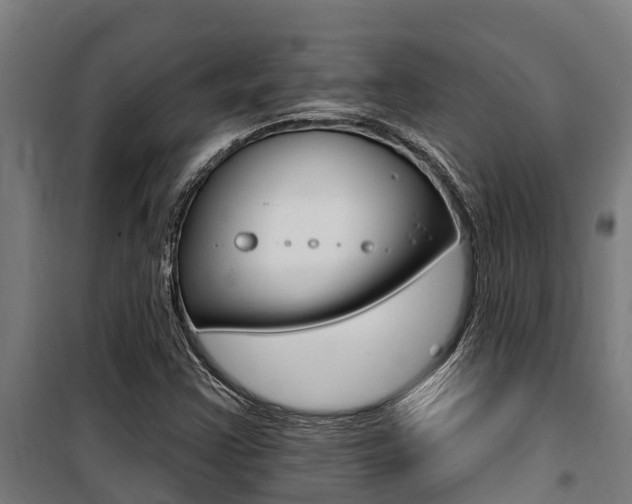 X0000100751355200806190813