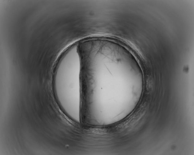 X0000100751356200806190813