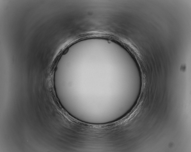 X0000100751357200806190813