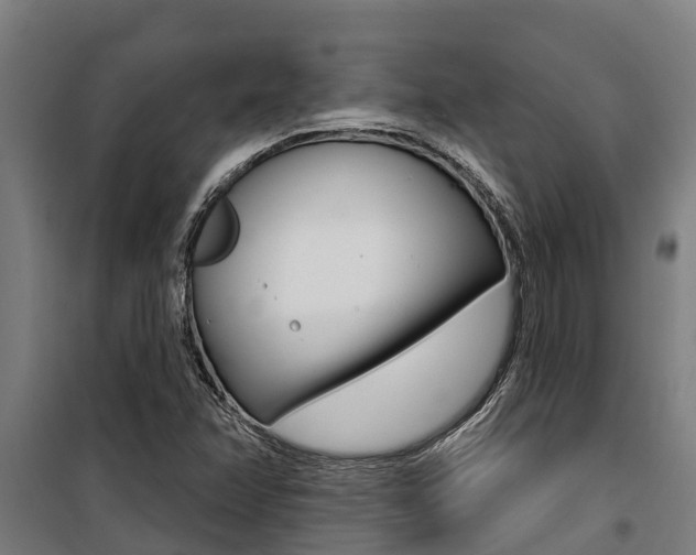 X0000100751358200806190813