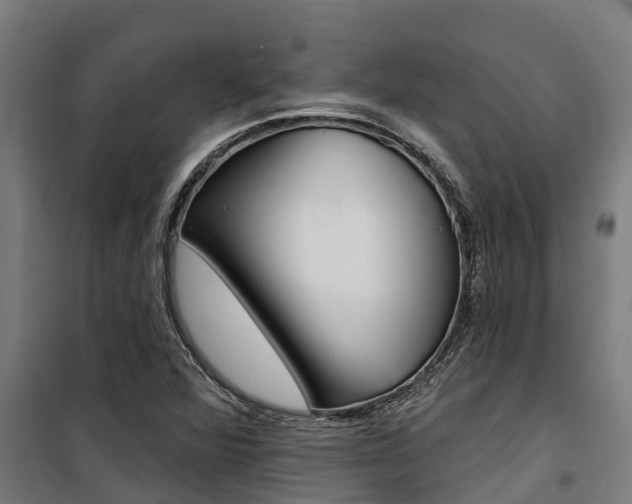 X0000100751360200806190813