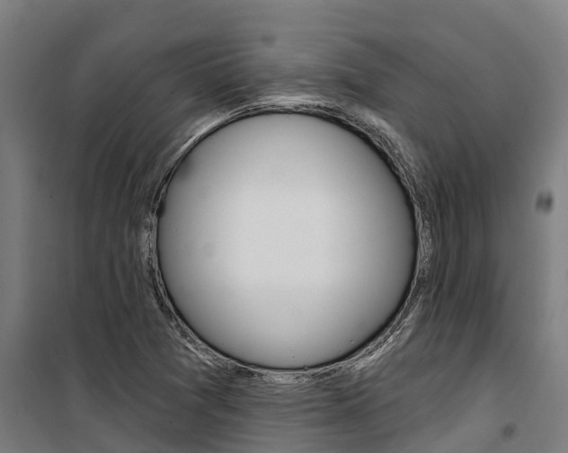 X0000100751361200806190813