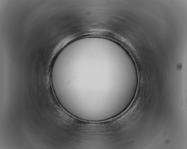 X0000100751362200806190813