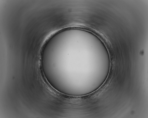 X0000100751363200806190813