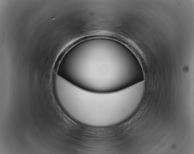 X0000100751364200806190813