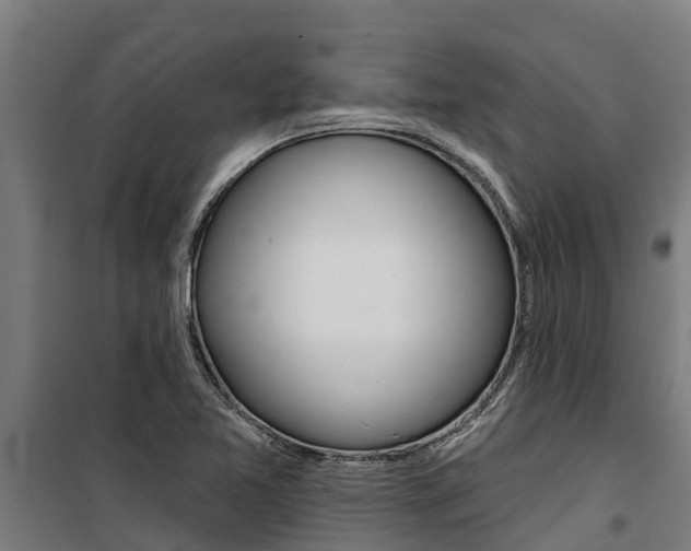 X0000100751365200806190813