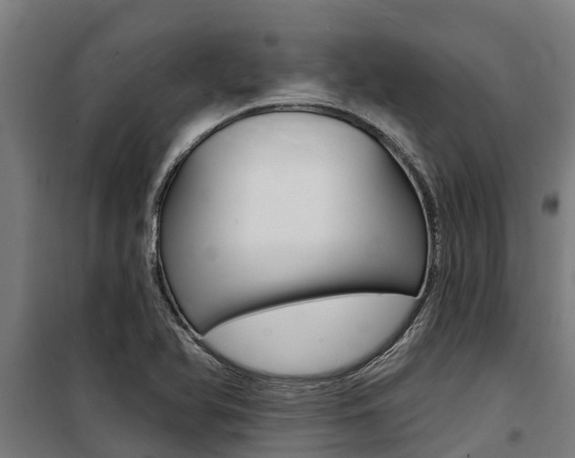 X0000100751366200806190813