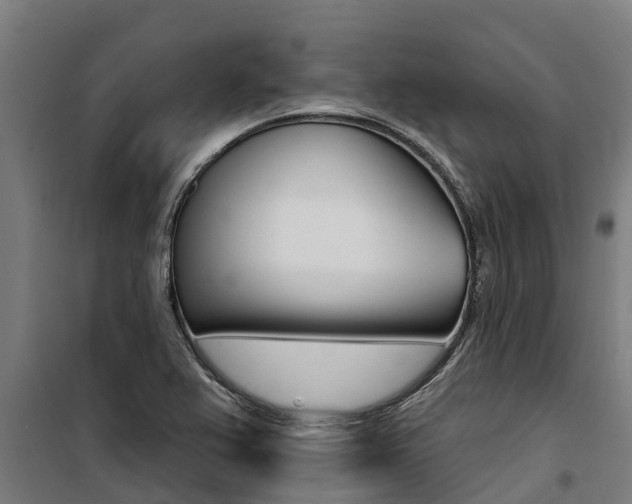 X0000100751367200806190813