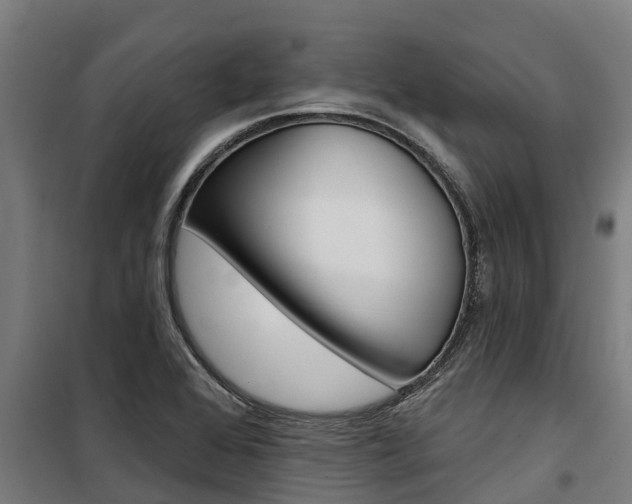 X0000100751368200806190813