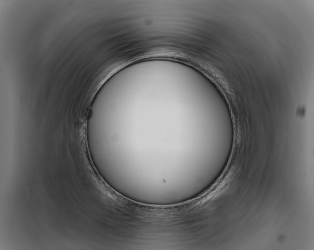 X0000100751369200806190813