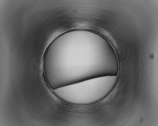 X0000100751370200806190813