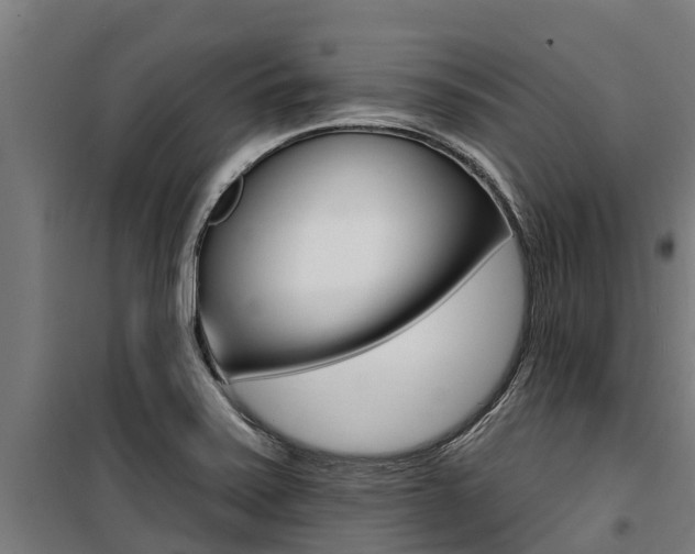 X0000100751371200806190813