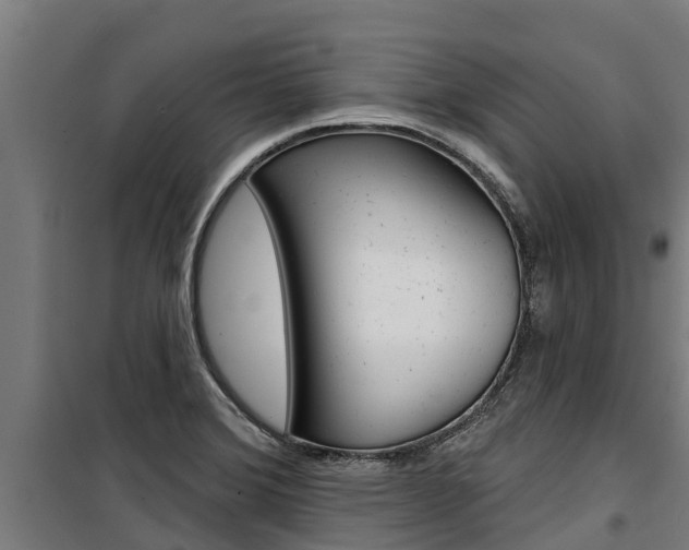 X0000100751372200806190813