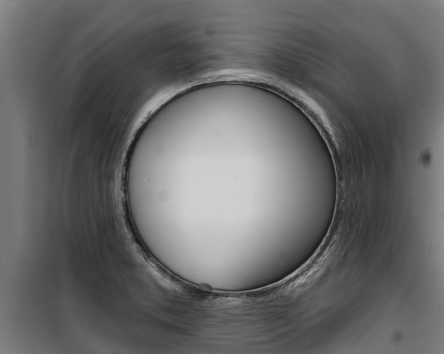 X0000100751373200806190813