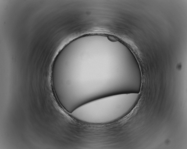 X0000100751374200806190813