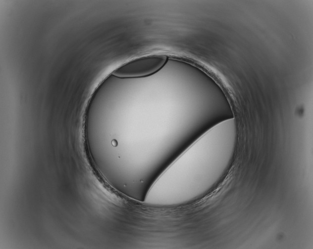X0000100751375200806190813