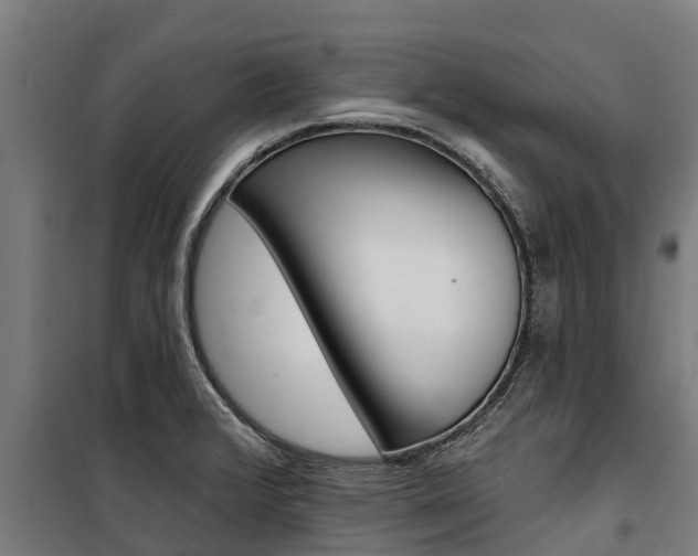 X0000100751376200806190813