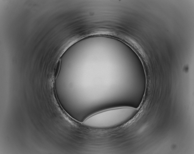 X0000100751377200806190813