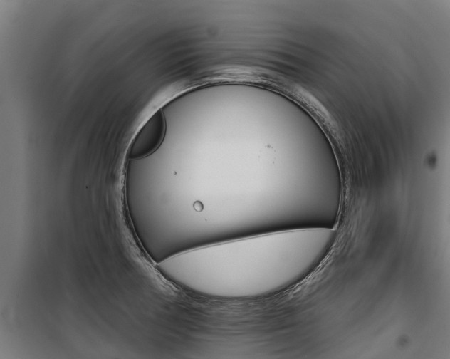 X0000100751378200806190813