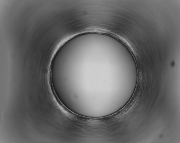 X0000100751379200806190813