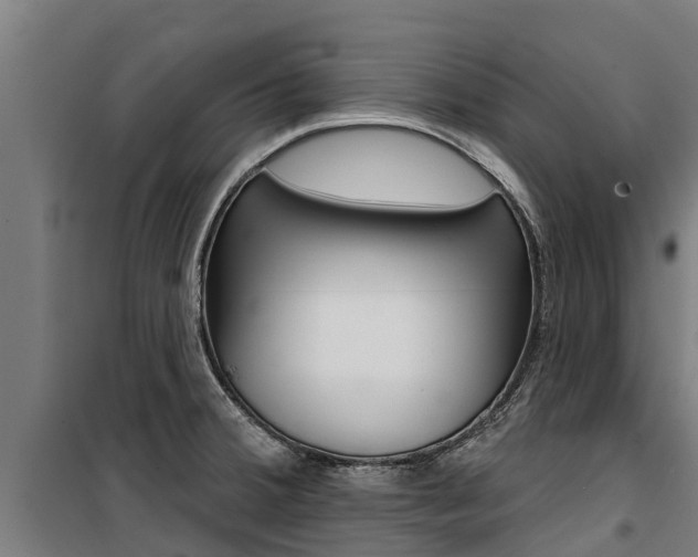 X0000100751380200806190813