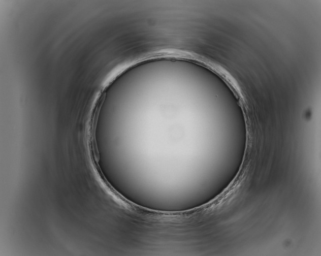 X0000100751381200806190813