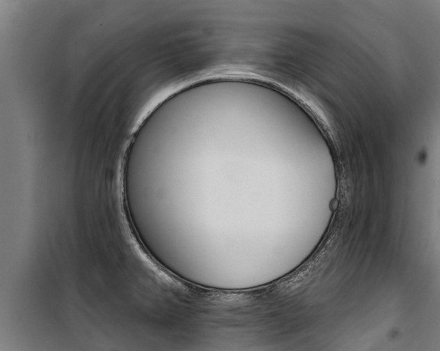 X0000100751382200806190813